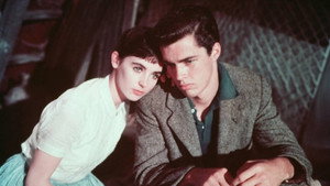Дневник Анны Франк (фильм, 1959)