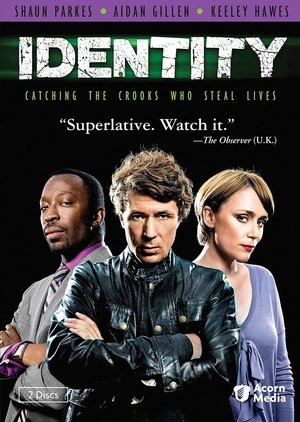 Установление личности (сериал, 2010)