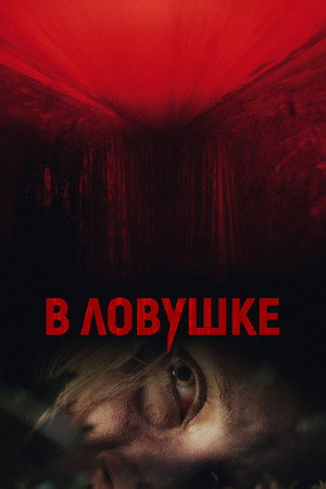 В ловушке (фильм, 2020)