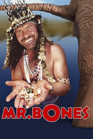 Мистер Бонс (фильм, 2001)