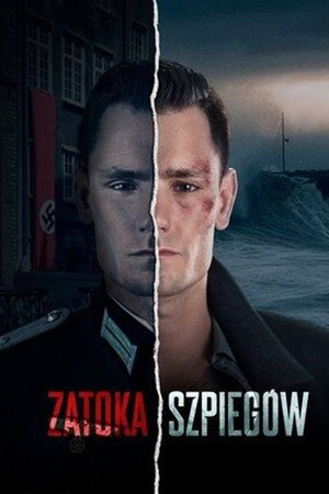 Шпионский залив (сериал, 2023)