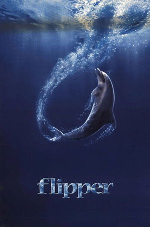 Флиппер (фильм, 1996)