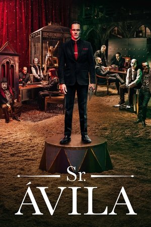 Сеньор Авила (сериал, 2013)