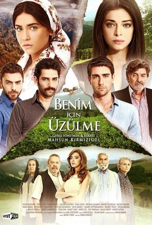 Не беспокойтесь за меня (сериал, 2012)