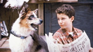 100 подвигов Эдди Макдауда (сериал, 1999)