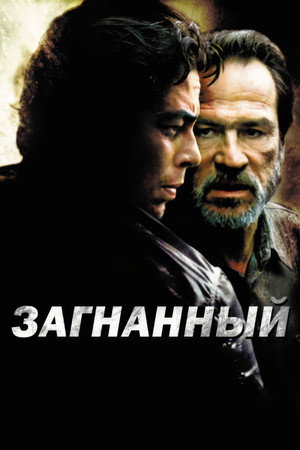 Загнанный (фильм, 2003)