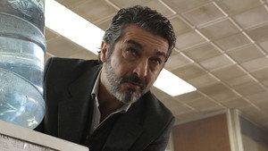 Диссертация об убийстве (фильм, 2013)