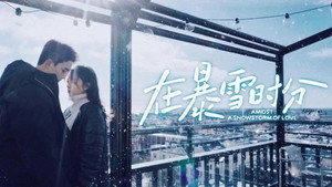 Во время снежной бури (сериал, 2024)