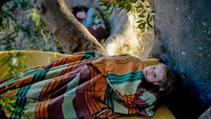 Дерево (фильм, 2010)