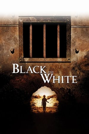 Черное и белое (фильм, 2002)