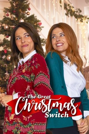 Большой рождественский обмен (фильм, 2021)