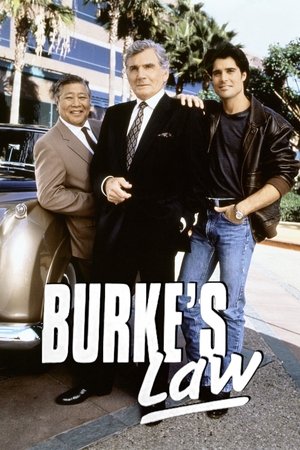 Правосудие Берка (сериал, 1994)