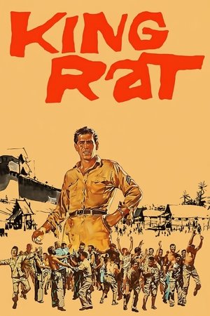 Король крыс (фильм, 1965)