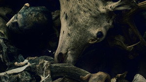 Одербрух (сериал, 2024)