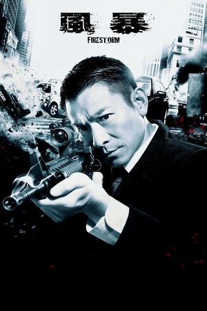 Огненная буря (фильм, 2013)