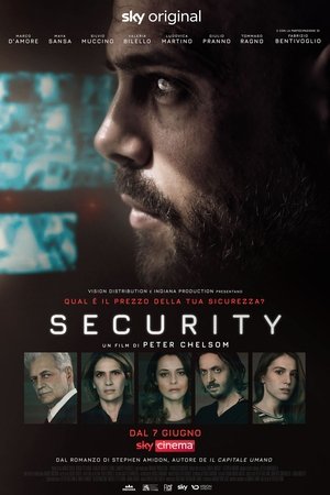 Цена безопасности (фильм, 2021)