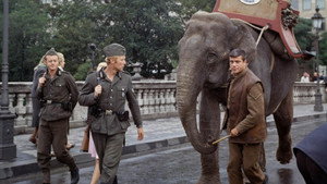 Ганнибал Брукс (фильм, 1969)