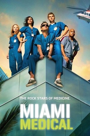 Медицинское Майами (сериал, 2010)