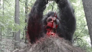 Снежный человек во льдах (фильм, 2018)