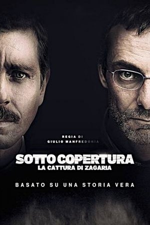 Под прикрытием (сериал, 2015)