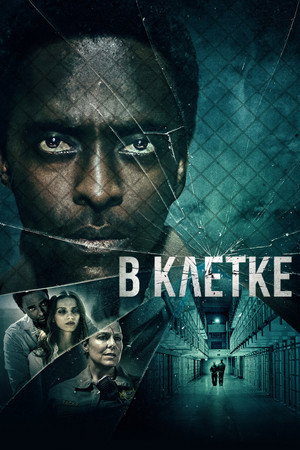 В клетке (фильм, 2021)