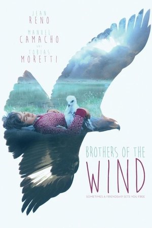 Братья ветра (фильм, 2015)