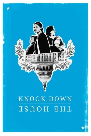 Попасть в Конгресс (фильм, 2019)