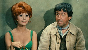 Идиот в Париже (фильм, 1967)