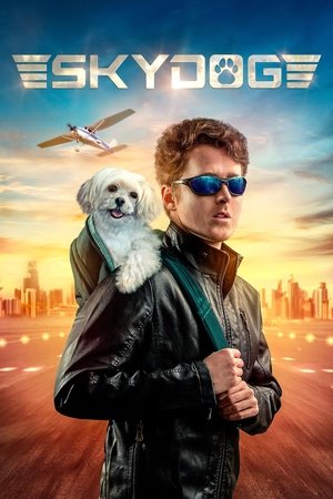 Небесный пёс (фильм, 2020)