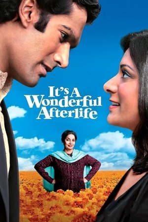 Эта замечательная загробная жизнь (фильм, 2009)
