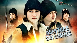 Сокровища государства (фильм, 2013)