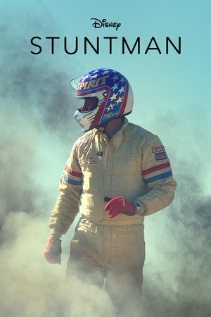 Каскадер (фильм, 2018)