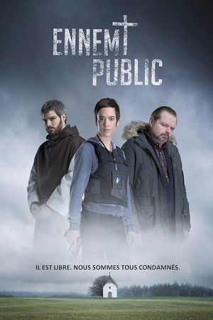 Враг общества (сериал, 2016)