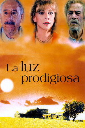 Божественный свет (фильм, 2002)