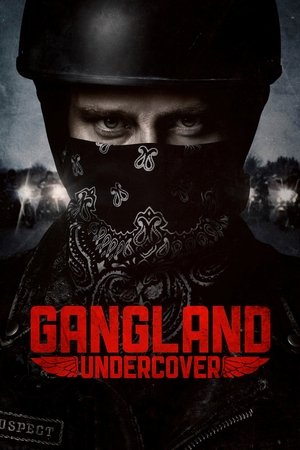 Под прикрытием (сериал, 2015)