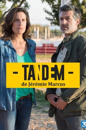Тандем (сериал, 2016)