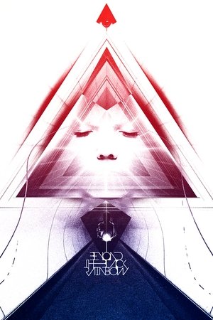 По ту сторону черной радуги (фильм, 2010)