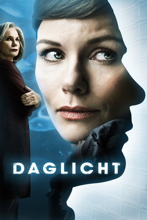 Дневной свет (фильм, 2013)