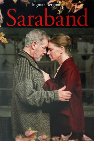 Сарабанда (фильм, 2003)