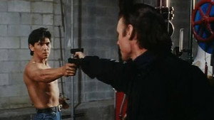 Огненное кольцо 3: Удар льва (фильм, 1994)