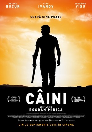 Собаки (фильм, 2016)