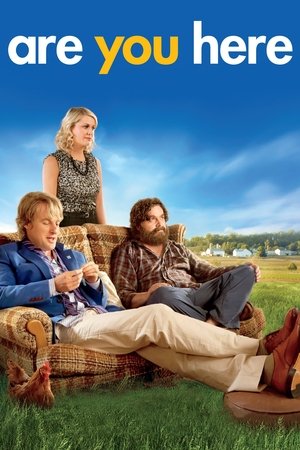 Ты здесь (фильм, 2013)