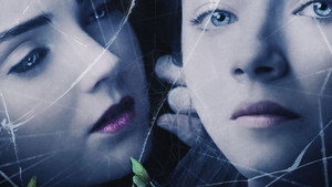 Дневники мотылька (фильм, 2011)