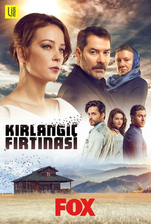 Шторм ласточки (сериал, 2017)