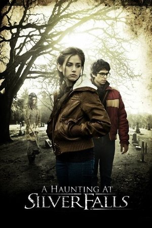 Серебряный водопад (фильм, 2013)