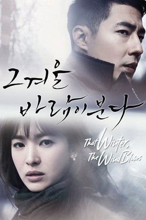 Этой зимой дует ветер (сериал, 2013)
