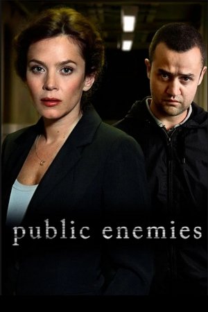 Враги общества (сериал, 2012)