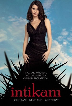 Месть (сериал, 2013)