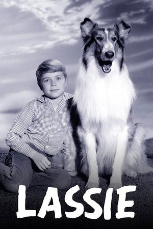 Лэсси (сериал, 1954)