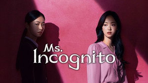 Госпожа Инкогнито (сериал, 2025)